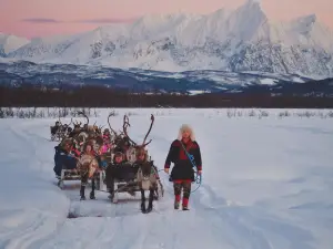 Tromso Lapland