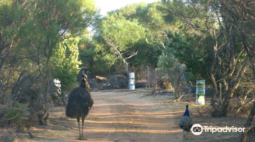 Waminda Wildlife Sanctuary