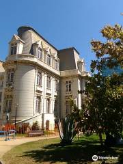 Corporacion Museo de Arqueologia e Historia Francisco Fonck