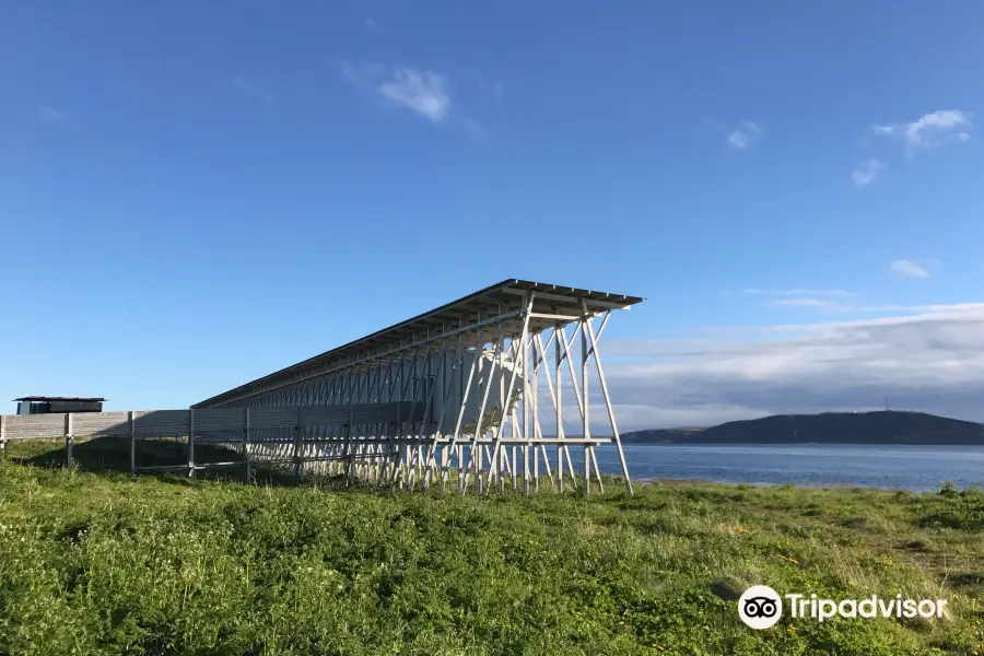 Steilneset Memorial