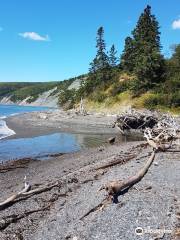 Cape Chignecto Provincial Park