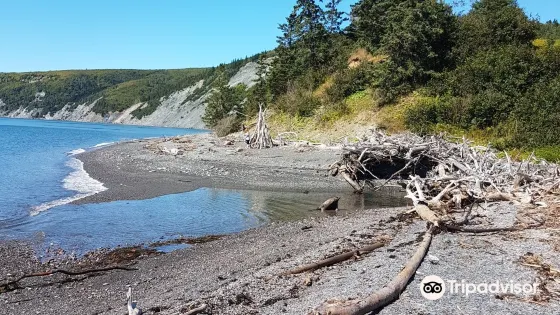 Cape Chignecto Provincial Park