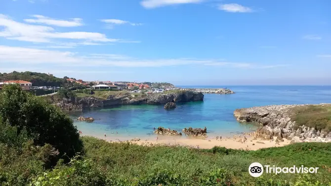 2_Playa de Toro