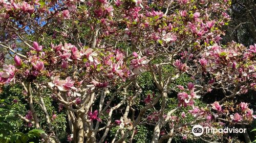 North Coast Regional Botanic Garden - Coffs Harbour