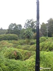 Glengarry Bush Maze