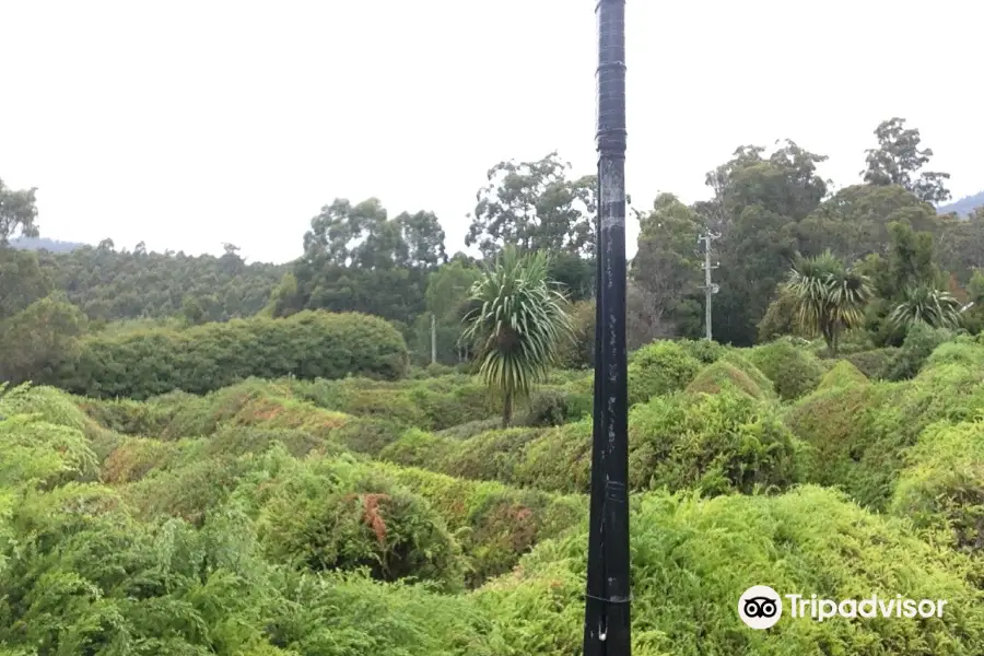 Glengarry Bush Maze