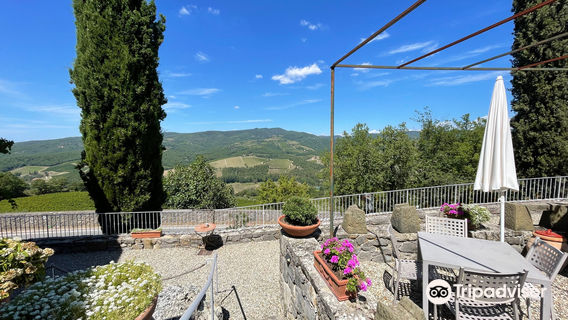 Azienda Agricola Il Barlettaio