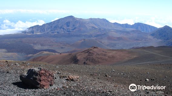 Maui Mountain Cruisers