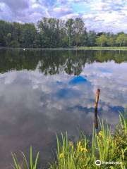 Freizeitpark Steinertsee