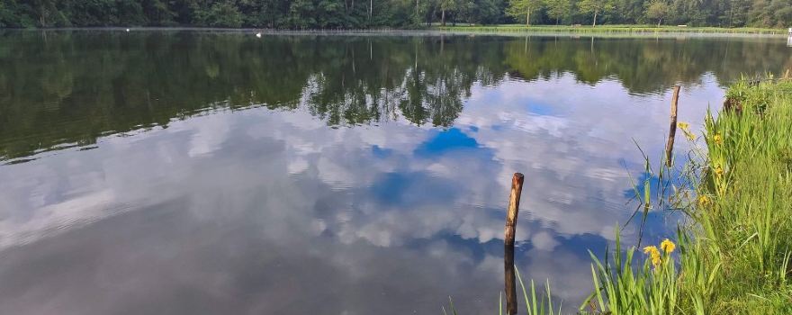 Steinertsee Park