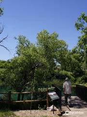 McNenny State Fish Hatchery