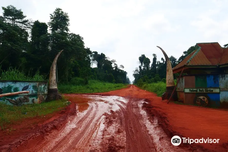 Okomu National Park