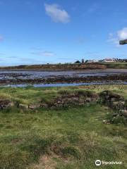 Holy Island Hikes