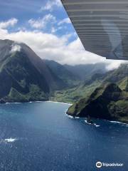 Maui Aviators