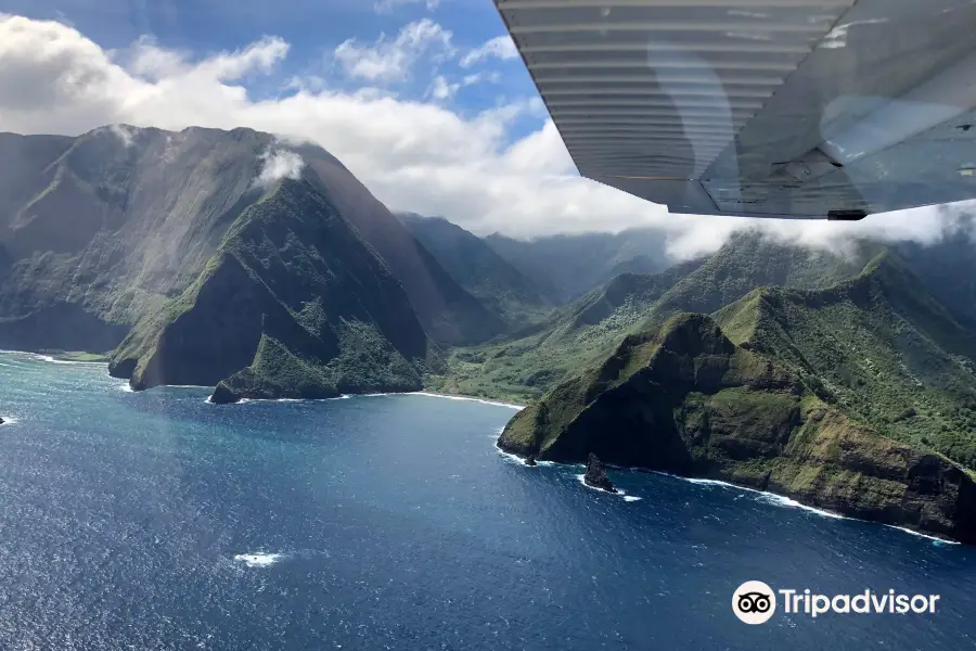 Maui Aviators