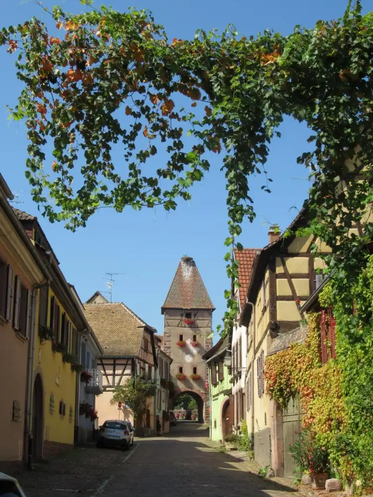 Hotels in Ammerschwihr