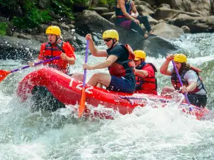 Wilderness Voyageurs Rafting & Bike Tours