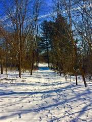 Natural Lands' Binky Lee Preserve