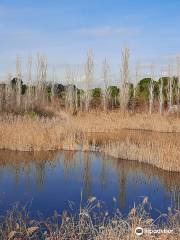 Parc De La Llacuna