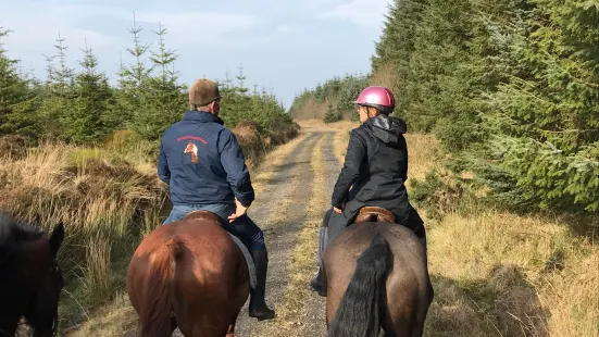 Birr Equestrian Centre