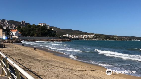 شاطئ عين عشيرPlage Ain Achir