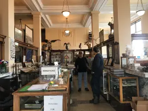 Prairie County Museum & Evelyn Cameron Gallery