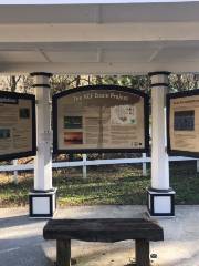 Ernest F. Hollings ACE Basin National Wildlife Refuge