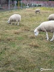 Wythenshawe Community Farm & Shop