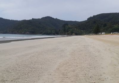 Matauri Bay Beach