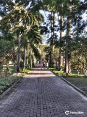 Jardim Botanico de Florianopolis