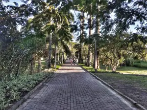 Florianópolis Botanical Garden