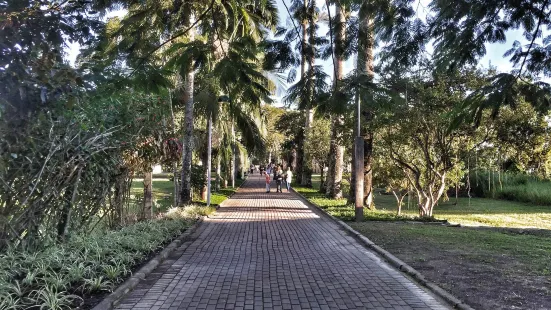 Jardim Botanico de Florianopolis