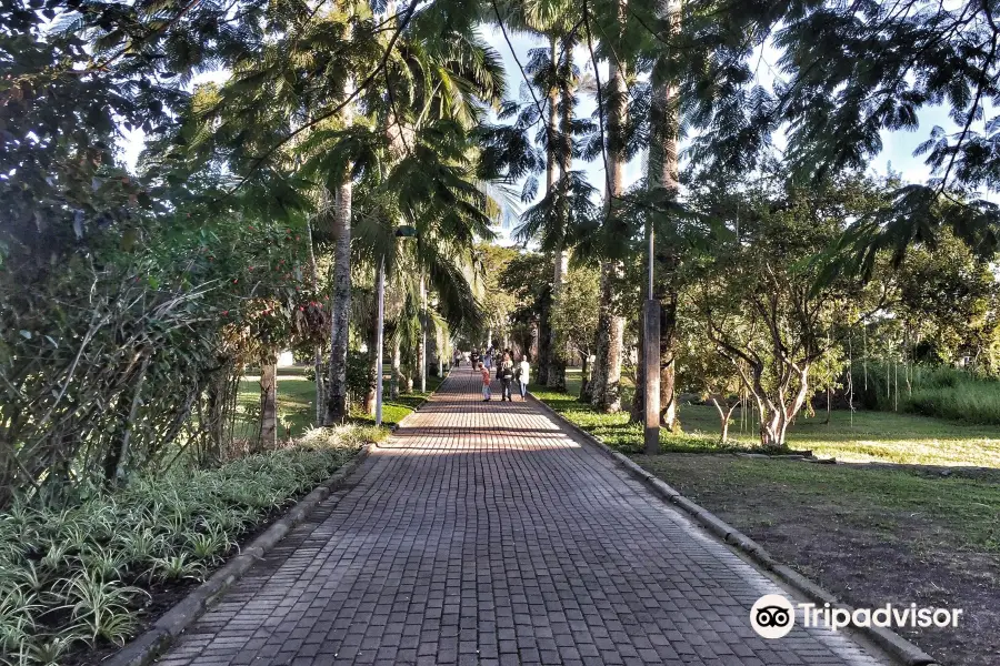 Florianópolis Botanical Garden