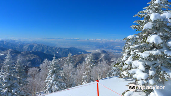 Okushiga Kogen Ski Resort