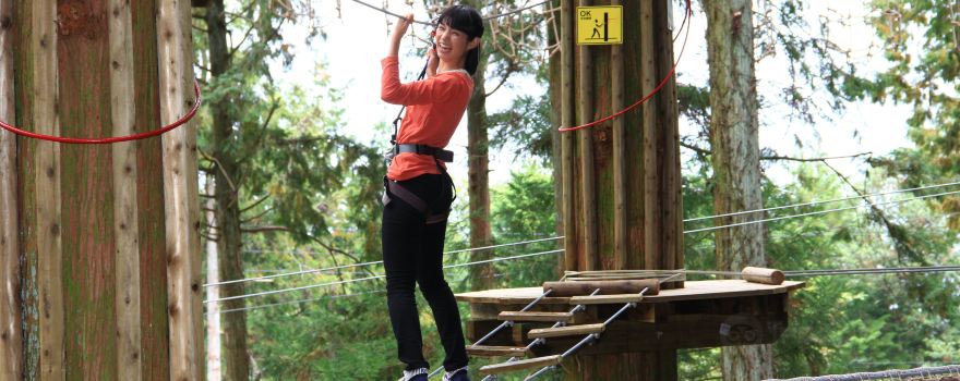 Forest Adventure Matsukawa