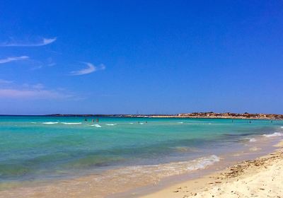 Platja d'es Trenc