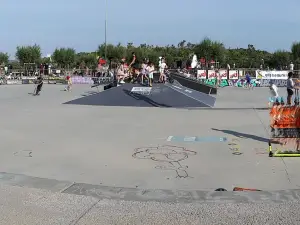 Skate Park de la Barre