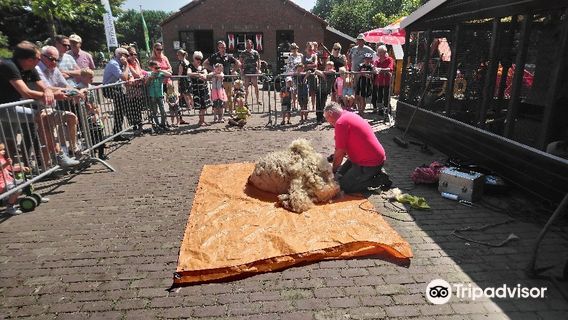 Petting Otterspoor