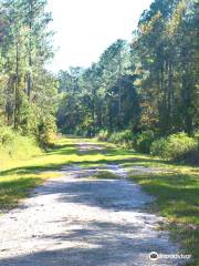 Bayard Conservation Area