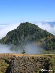 Saddle Mountain Trail