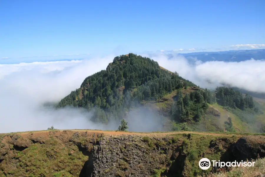 Saddle Mountain Trail