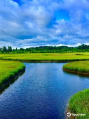 Paradise Creek Nature Park