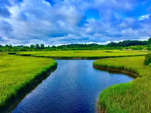 Paradise Creek Nature Park