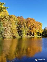 Lefortovo Park