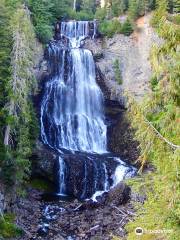 Callaghan Country's Alexander Falls Touring Centre