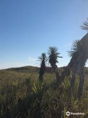 Grasslands Nature Trail