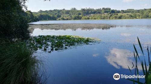 Lagoa de Sobrado