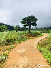 Galboda Ella Falls