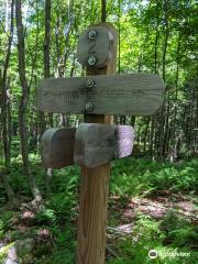 Sherburne Pass Trail