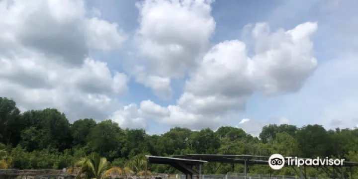 Sarang Buaya Pasir Gudang